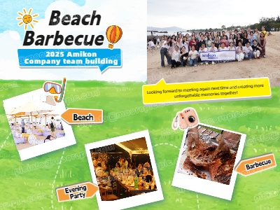 2025 Amikon Beach Takım Oluşturma Etkinliği İncelemesi | Barbekü, Oyunlar ve Parti Yaz Tutkusunu Alevlendiriyor