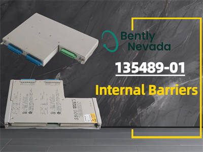 Bently Nevada 135489-01 Dahili Bariyerler Hakkında Bilmeniz Gereken Her Şey